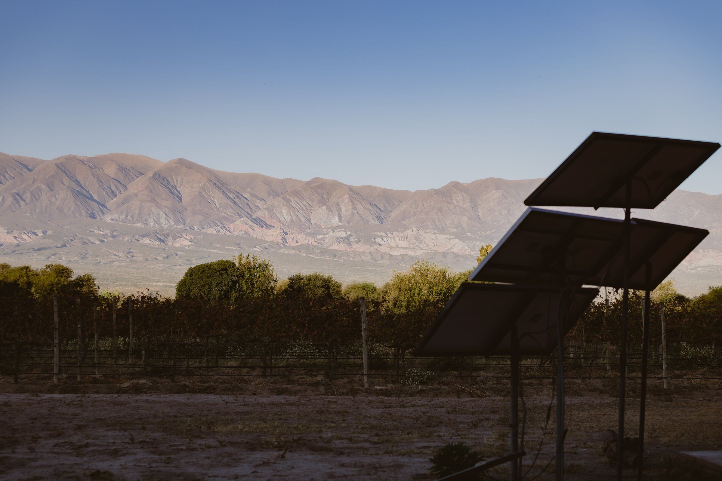 Paneles solares del riego, con la viña y los cerros del valle de fondo